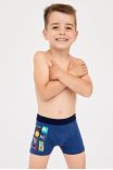 Fiú boxer, Cornette Young Boy 700/139 győztes 134-164